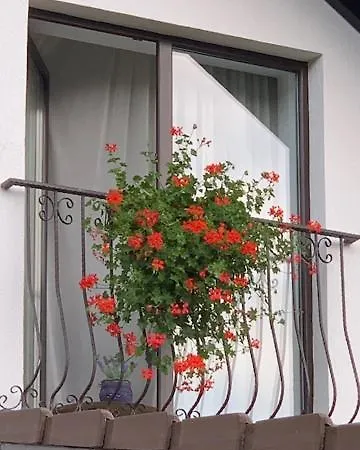 Guest house Rolizo Brasov