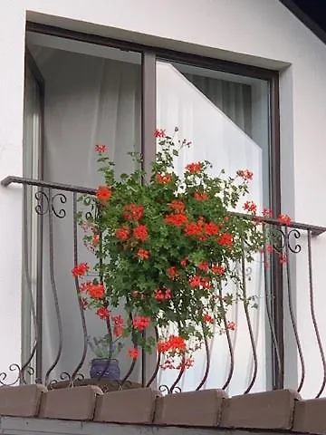 Gæstehus Rolizo Braşov